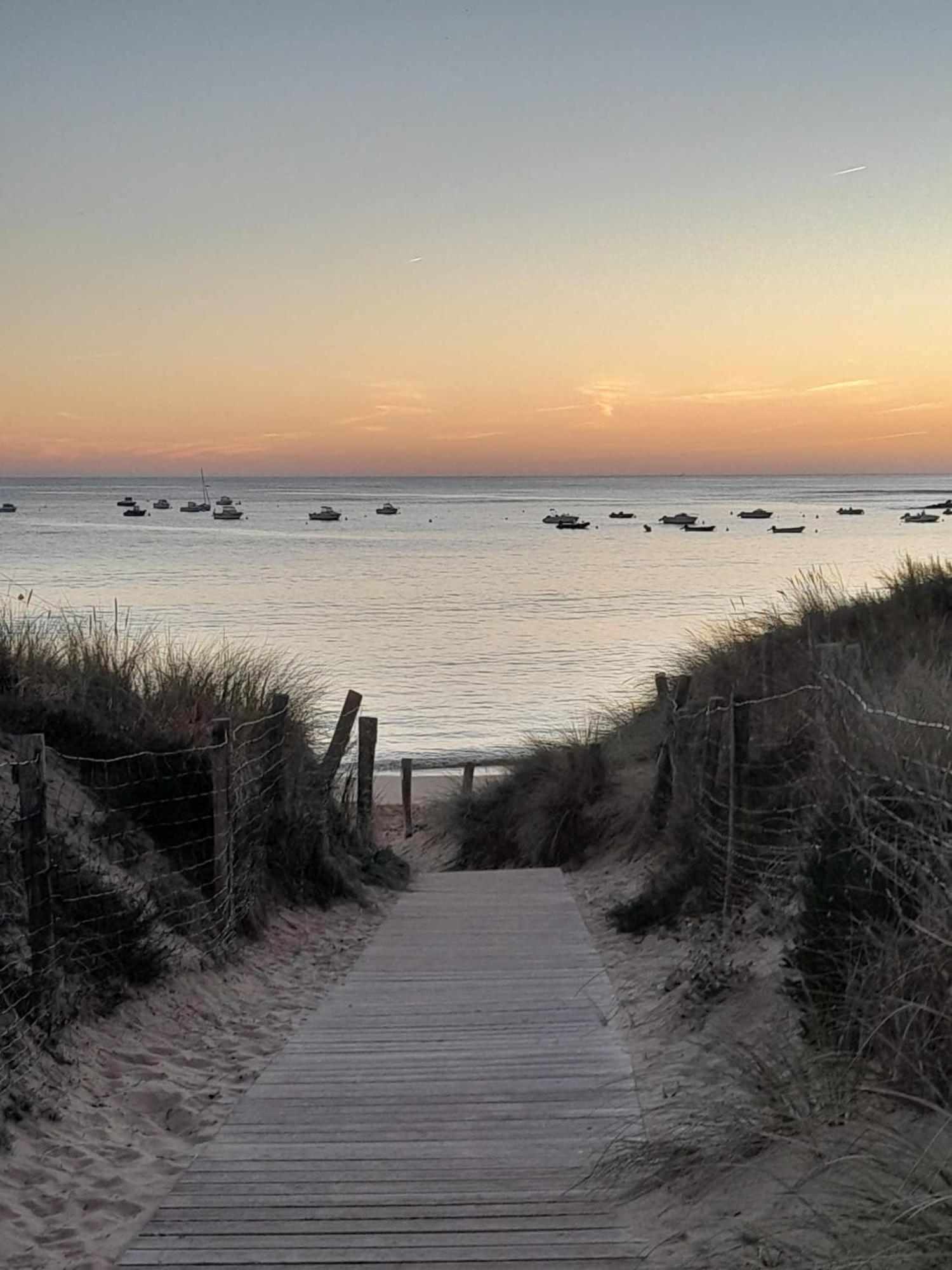 Appartement Aloha Ohana 4-6 Personnes A 400M De La Plage A Dolus D'Oleron 外观 照片