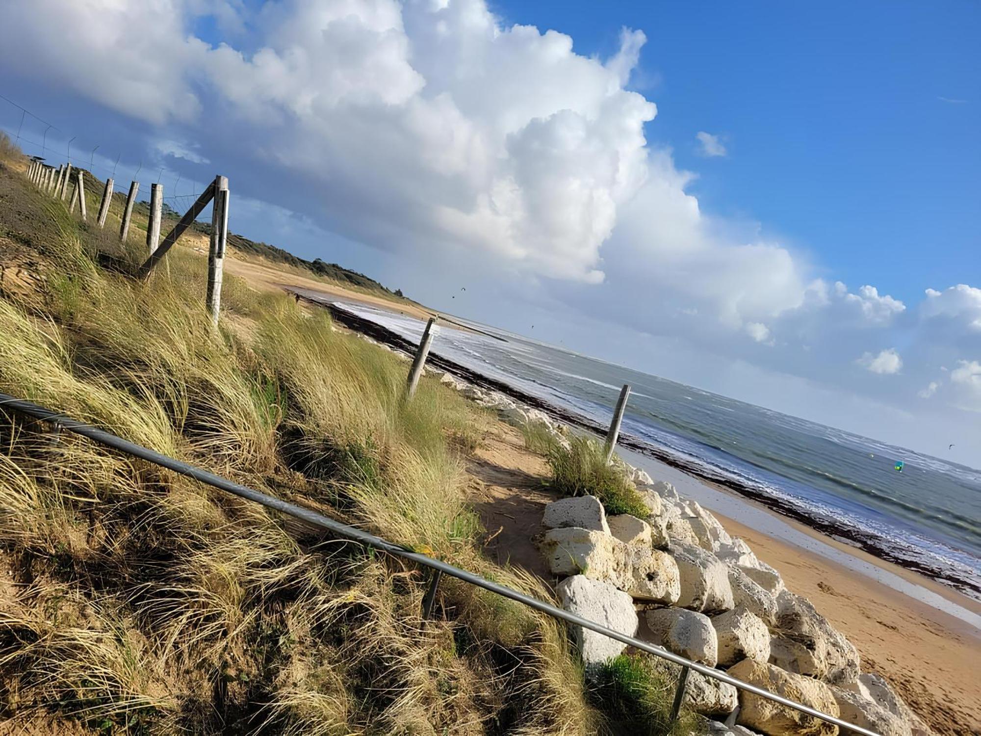 Appartement Aloha Ohana 4-6 Personnes A 400M De La Plage A Dolus D'Oleron 外观 照片